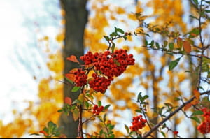 Осінні дні в Одесі