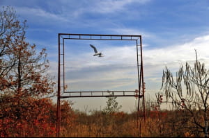 Осінні дні в Одесі