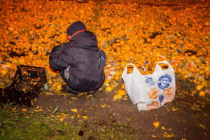 Через ДТП у Дніпрі дорогу завалило мандаринами