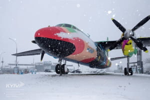 Сніг в аеропорту Жуляни
