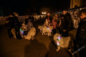 Парад собак породи самоїд у Одесі