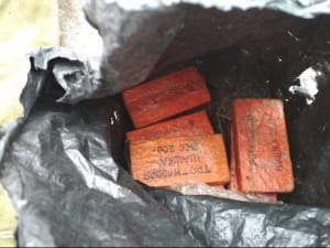 Поліцейські Луганщини знайшли у приватному будинку вибухівку
