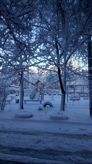 Сніг у Дніпрі