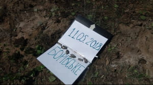 Борівське, обстріли, пожежа