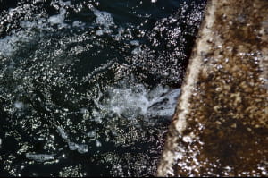 Пляж Ланжерон, Одеса