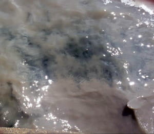 Пляж Ланжерон, Одеса