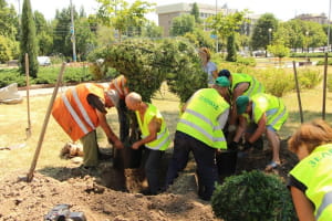 Зелені слоники в Запоріжжі