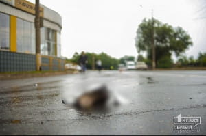 Жахливе ДТП у Кривому Розі