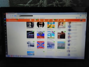 СБУ викрила двох інтернет-провокаторів на Дніпропетровщині