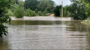 Наслідки негоди на Закарпатті