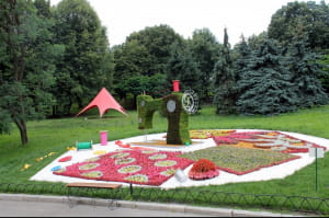 Cвіт велетнів, виставка квітів