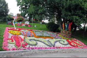 Cвіт велетнів, виставка квітів