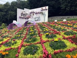 Cвіт велетнів, виставка квітів