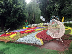 Cвіт велетнів, виставка квітів