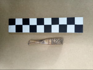 Розкопки на Чернігівщині