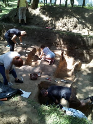 Розкопки на Чернігівщині