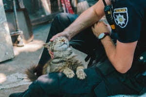 Киці у Дніпрі