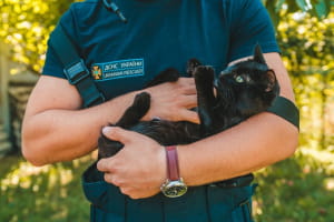 Безхатьки Дніпра