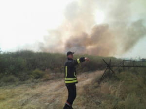 Пожежа у Болотенному, Луганщина