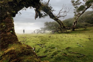 Фотоконкурс PIPAs