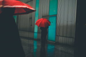 Фотоконкурс PIPAs