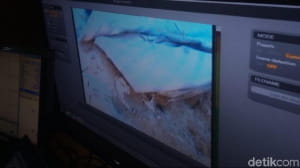 Дайвери підняли на поверхню бортовий самописець "Боїнга"