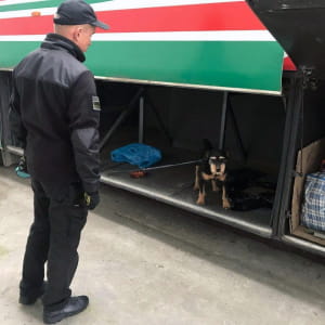 Собака виявив марихуану в автобусі