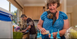 Фотографії National Geographic