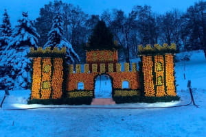 Цитрусовий бум на Співочому полі