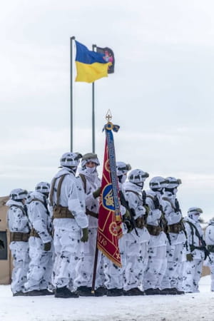 Сили спеціальних операцій