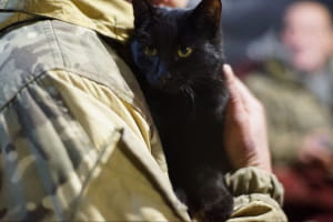 Позиції поблизу Донецька_Зеніт_Бутівка