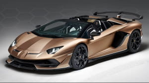 Lamborghini кабриолет Aventador SVJ