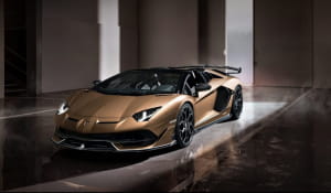 Lamborghini кабриолет Aventador SVJ