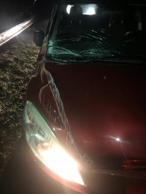 Спроба прорвати кордон на Закарпатті