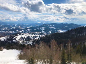 Сніг у Карпатах, березень 2019