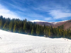 Сніг у Карпатах, березень 2019
