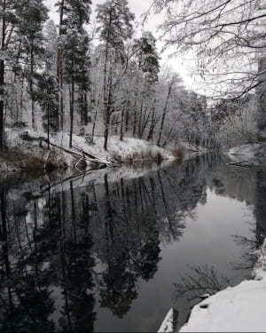 Сніг у березні, Київ