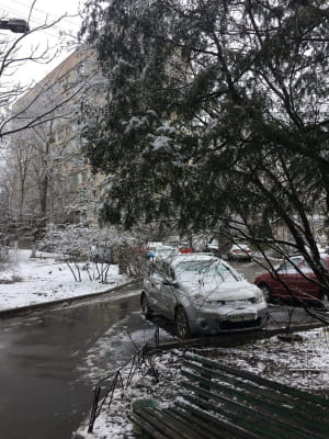 Сніг у березні, Київ