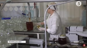 Заготівля березового соку