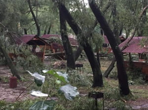Наслідки урагану в Києві