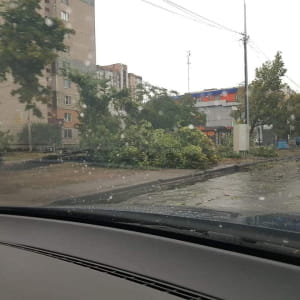 Наслідки урагану в Києві