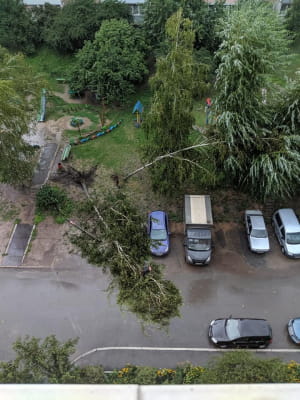 Наслідки урагану в Києві