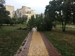 Наслідки урагану в Києві