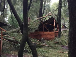 Наслідки урагану в Києві
