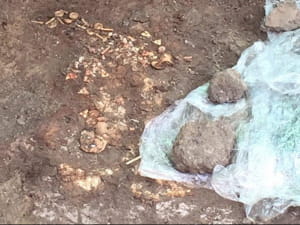 Археологи нашли золото и оружие скифов