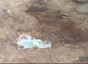 Археологи нашли золото и оружие скифов