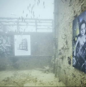 Фотовыставка Plastic Ocean