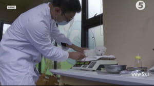 Рідкісні білі леви