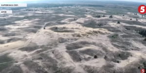 Вирубка лісу в Україні