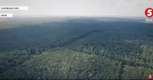 Вирубка лісу в Україні